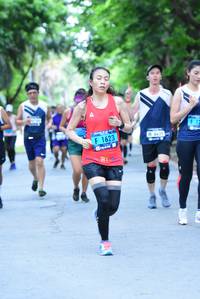 BIB: 1623, 6639
                            <button type="button" onclick="openModal(4665025)" class="btn btn-primary btn-sm float-right btn-popup" data-toggle="modal" data-target=".modal-high-quality">
                        <i class="fas fa-shopping-cart"></i> Add to Cart
                    </button>
                                            <button type="button" onclick="isThisMe(4665025, true)" class="btn btn-success btn-sm float-right btn-popup btn-isme hidden" data-toggle="tooltip" data-placement="bottom" title="นี่คือรูปของคุณใช่ไหม คลิกที่นี่เพื่อเอาเข้าอัลบั้ม">
                        <i class="fas fa-plus"></i> Add to album
                    </button>
                    <button type="button" onclick="isThisMe(4665025, false)" class="btn btn-warning btn-sm float-right btn-popup btn-isnotme hidden">
                        <i class="fas fa-ban"></i> Remove from album
                    </button>