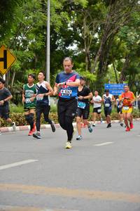 BIB: 8267, 2639
                            <button type="button" onclick="openModal(4598147)" class="btn btn-primary btn-sm float-right btn-popup" data-toggle="modal" data-target=".modal-high-quality">
                        <i class="fas fa-shopping-cart"></i> Add to Cart
                    </button>
                                            <button type="button" onclick="isThisMe(4598147, true)" class="btn btn-success btn-sm float-right btn-popup btn-isme hidden" data-toggle="tooltip" data-placement="bottom" title="นี่คือรูปของคุณใช่ไหม คลิกที่นี่เพื่อเอาเข้าอัลบั้ม">
                        <i class="fas fa-plus"></i> Add to album
                    </button>
                    <button type="button" onclick="isThisMe(4598147, false)" class="btn btn-warning btn-sm float-right btn-popup btn-isnotme hidden">
                        <i class="fas fa-ban"></i> Remove from album
                    </button>