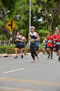 BIB: 
                            <button type="button" onclick="openModal(4598204)" class="btn btn-primary btn-sm float-right btn-popup" data-toggle="modal" data-target=".modal-high-quality">
                        <i class="fas fa-shopping-cart"></i> Add to Cart
                    </button>
                                            <button type="button" onclick="isThisMe(4598204, true)" class="btn btn-success btn-sm float-right btn-popup btn-isme hidden" data-toggle="tooltip" data-placement="bottom" title="นี่คือรูปของคุณใช่ไหม คลิกที่นี่เพื่อเอาเข้าอัลบั้ม">
                        <i class="fas fa-plus"></i> Add to album
                    </button>
                    <button type="button" onclick="isThisMe(4598204, false)" class="btn btn-warning btn-sm float-right btn-popup btn-isnotme hidden">
                        <i class="fas fa-ban"></i> Remove from album
                    </button>