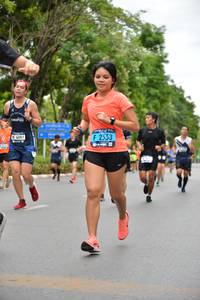 BIB: 
                            <button type="button" onclick="openModal(4598797)" class="btn btn-primary btn-sm float-right btn-popup" data-toggle="modal" data-target=".modal-high-quality">
                        <i class="fas fa-shopping-cart"></i> Add to Cart
                    </button>
                                            <button type="button" onclick="isThisMe(4598797, true)" class="btn btn-success btn-sm float-right btn-popup btn-isme hidden" data-toggle="tooltip" data-placement="bottom" title="นี่คือรูปของคุณใช่ไหม คลิกที่นี่เพื่อเอาเข้าอัลบั้ม">
                        <i class="fas fa-plus"></i> Add to album
                    </button>
                    <button type="button" onclick="isThisMe(4598797, false)" class="btn btn-warning btn-sm float-right btn-popup btn-isnotme hidden">
                        <i class="fas fa-ban"></i> Remove from album
                    </button>