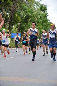 BIB: 6008, 7708, 1226
                            <button type="button" onclick="openModal(4598506)" class="btn btn-primary btn-sm float-right btn-popup" data-toggle="modal" data-target=".modal-high-quality">
                        <i class="fas fa-shopping-cart"></i> Add to Cart
                    </button>
                                            <button type="button" onclick="isThisMe(4598506, true)" class="btn btn-success btn-sm float-right btn-popup btn-isme hidden" data-toggle="tooltip" data-placement="bottom" title="นี่คือรูปของคุณใช่ไหม คลิกที่นี่เพื่อเอาเข้าอัลบั้ม">
                        <i class="fas fa-plus"></i> Add to album
                    </button>
                    <button type="button" onclick="isThisMe(4598506, false)" class="btn btn-warning btn-sm float-right btn-popup btn-isnotme hidden">
                        <i class="fas fa-ban"></i> Remove from album
                    </button>