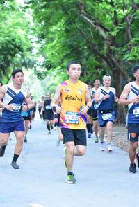 BIB: 8037
                            <button type="button" onclick="openModal(4664718)" class="btn btn-primary btn-sm float-right btn-popup" data-toggle="modal" data-target=".modal-high-quality">
                        <i class="fas fa-shopping-cart"></i> Add to Cart
                    </button>
                                            <button type="button" onclick="isThisMe(4664718, true)" class="btn btn-success btn-sm float-right btn-popup btn-isme hidden" data-toggle="tooltip" data-placement="bottom" title="นี่คือรูปของคุณใช่ไหม คลิกที่นี่เพื่อเอาเข้าอัลบั้ม">
                        <i class="fas fa-plus"></i> Add to album
                    </button>
                    <button type="button" onclick="isThisMe(4664718, false)" class="btn btn-warning btn-sm float-right btn-popup btn-isnotme hidden">
                        <i class="fas fa-ban"></i> Remove from album
                    </button>