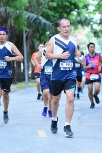 BIB: 7958, 7914
                            <button type="button" onclick="openModal(4664942)" class="btn btn-primary btn-sm float-right btn-popup" data-toggle="modal" data-target=".modal-high-quality">
                        <i class="fas fa-shopping-cart"></i> Add to Cart
                    </button>
                                            <button type="button" onclick="isThisMe(4664942, true)" class="btn btn-success btn-sm float-right btn-popup btn-isme hidden" data-toggle="tooltip" data-placement="bottom" title="นี่คือรูปของคุณใช่ไหม คลิกที่นี่เพื่อเอาเข้าอัลบั้ม">
                        <i class="fas fa-plus"></i> Add to album
                    </button>
                    <button type="button" onclick="isThisMe(4664942, false)" class="btn btn-warning btn-sm float-right btn-popup btn-isnotme hidden">
                        <i class="fas fa-ban"></i> Remove from album
                    </button>