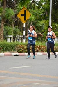 BIB: 
                            <button type="button" onclick="openModal(4603263)" class="btn btn-primary btn-sm float-right btn-popup" data-toggle="modal" data-target=".modal-high-quality">
                        <i class="fas fa-shopping-cart"></i> Add to Cart
                    </button>
                                            <button type="button" onclick="isThisMe(4603263, true)" class="btn btn-success btn-sm float-right btn-popup btn-isme hidden" data-toggle="tooltip" data-placement="bottom" title="นี่คือรูปของคุณใช่ไหม คลิกที่นี่เพื่อเอาเข้าอัลบั้ม">
                        <i class="fas fa-plus"></i> Add to album
                    </button>
                    <button type="button" onclick="isThisMe(4603263, false)" class="btn btn-warning btn-sm float-right btn-popup btn-isnotme hidden">
                        <i class="fas fa-ban"></i> Remove from album
                    </button>