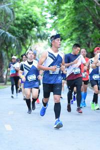 BIB: 8071, 527, 512
                            <button type="button" onclick="openModal(4664790)" class="btn btn-primary btn-sm float-right btn-popup" data-toggle="modal" data-target=".modal-high-quality">
                        <i class="fas fa-shopping-cart"></i> Add to Cart
                    </button>
                                            <button type="button" onclick="isThisMe(4664790, true)" class="btn btn-success btn-sm float-right btn-popup btn-isme hidden" data-toggle="tooltip" data-placement="bottom" title="นี่คือรูปของคุณใช่ไหม คลิกที่นี่เพื่อเอาเข้าอัลบั้ม">
                        <i class="fas fa-plus"></i> Add to album
                    </button>
                    <button type="button" onclick="isThisMe(4664790, false)" class="btn btn-warning btn-sm float-right btn-popup btn-isnotme hidden">
                        <i class="fas fa-ban"></i> Remove from album
                    </button>