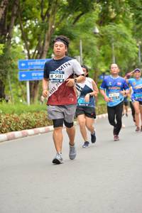 BIB: 
                            <button type="button" onclick="openModal(4608685)" class="btn btn-primary btn-sm float-right btn-popup" data-toggle="modal" data-target=".modal-high-quality">
                        <i class="fas fa-shopping-cart"></i> Add to Cart
                    </button>
                                            <button type="button" onclick="isThisMe(4608685, true)" class="btn btn-success btn-sm float-right btn-popup btn-isme hidden" data-toggle="tooltip" data-placement="bottom" title="นี่คือรูปของคุณใช่ไหม คลิกที่นี่เพื่อเอาเข้าอัลบั้ม">
                        <i class="fas fa-plus"></i> Add to album
                    </button>
                    <button type="button" onclick="isThisMe(4608685, false)" class="btn btn-warning btn-sm float-right btn-popup btn-isnotme hidden">
                        <i class="fas fa-ban"></i> Remove from album
                    </button>