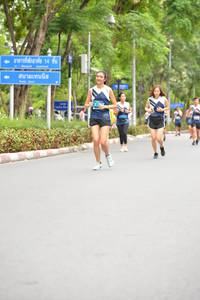 BIB: 
                            <button type="button" onclick="openModal(4613697)" class="btn btn-primary btn-sm float-right btn-popup" data-toggle="modal" data-target=".modal-high-quality">
                        <i class="fas fa-shopping-cart"></i> Add to Cart
                    </button>
                                            <button type="button" onclick="isThisMe(4613697, true)" class="btn btn-success btn-sm float-right btn-popup btn-isme hidden" data-toggle="tooltip" data-placement="bottom" title="นี่คือรูปของคุณใช่ไหม คลิกที่นี่เพื่อเอาเข้าอัลบั้ม">
                        <i class="fas fa-plus"></i> Add to album
                    </button>
                    <button type="button" onclick="isThisMe(4613697, false)" class="btn btn-warning btn-sm float-right btn-popup btn-isnotme hidden">
                        <i class="fas fa-ban"></i> Remove from album
                    </button>