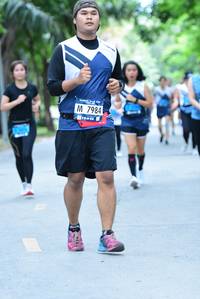 BIB: 7984
                            <button type="button" onclick="openModal(4640635)" class="btn btn-primary btn-sm float-right btn-popup" data-toggle="modal" data-target=".modal-high-quality">
                        <i class="fas fa-shopping-cart"></i> Add to Cart
                    </button>
                                            <button type="button" onclick="isThisMe(4640635, true)" class="btn btn-success btn-sm float-right btn-popup btn-isme hidden" data-toggle="tooltip" data-placement="bottom" title="นี่คือรูปของคุณใช่ไหม คลิกที่นี่เพื่อเอาเข้าอัลบั้ม">
                        <i class="fas fa-plus"></i> Add to album
                    </button>
                    <button type="button" onclick="isThisMe(4640635, false)" class="btn btn-warning btn-sm float-right btn-popup btn-isnotme hidden">
                        <i class="fas fa-ban"></i> Remove from album
                    </button>