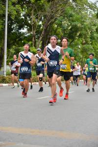 BIB: 7043, 6526, 6534
                            <button type="button" onclick="openModal(4598993)" class="btn btn-primary btn-sm float-right btn-popup" data-toggle="modal" data-target=".modal-high-quality">
                        <i class="fas fa-shopping-cart"></i> Add to Cart
                    </button>
                                            <button type="button" onclick="isThisMe(4598993, true)" class="btn btn-success btn-sm float-right btn-popup btn-isme hidden" data-toggle="tooltip" data-placement="bottom" title="นี่คือรูปของคุณใช่ไหม คลิกที่นี่เพื่อเอาเข้าอัลบั้ม">
                        <i class="fas fa-plus"></i> Add to album
                    </button>
                    <button type="button" onclick="isThisMe(4598993, false)" class="btn btn-warning btn-sm float-right btn-popup btn-isnotme hidden">
                        <i class="fas fa-ban"></i> Remove from album
                    </button>