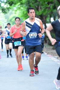 BIB: 6620, 2020
                            <button type="button" onclick="openModal(4639460)" class="btn btn-primary btn-sm float-right btn-popup" data-toggle="modal" data-target=".modal-high-quality">
                        <i class="fas fa-shopping-cart"></i> Add to Cart
                    </button>
                                            <button type="button" onclick="isThisMe(4639460, true)" class="btn btn-success btn-sm float-right btn-popup btn-isme hidden" data-toggle="tooltip" data-placement="bottom" title="นี่คือรูปของคุณใช่ไหม คลิกที่นี่เพื่อเอาเข้าอัลบั้ม">
                        <i class="fas fa-plus"></i> Add to album
                    </button>
                    <button type="button" onclick="isThisMe(4639460, false)" class="btn btn-warning btn-sm float-right btn-popup btn-isnotme hidden">
                        <i class="fas fa-ban"></i> Remove from album
                    </button>