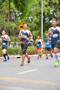 BIB: 5553, 794, 
                            <button type="button" onclick="openModal(4597514)" class="btn btn-primary btn-sm float-right btn-popup" data-toggle="modal" data-target=".modal-high-quality">
                        <i class="fas fa-shopping-cart"></i> Add to Cart
                    </button>
                                            <button type="button" onclick="isThisMe(4597514, true)" class="btn btn-success btn-sm float-right btn-popup btn-isme hidden" data-toggle="tooltip" data-placement="bottom" title="นี่คือรูปของคุณใช่ไหม คลิกที่นี่เพื่อเอาเข้าอัลบั้ม">
                        <i class="fas fa-plus"></i> Add to album
                    </button>
                    <button type="button" onclick="isThisMe(4597514, false)" class="btn btn-warning btn-sm float-right btn-popup btn-isnotme hidden">
                        <i class="fas fa-ban"></i> Remove from album
                    </button>