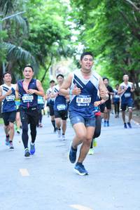 BIB: 6204, 8445
                            <button type="button" onclick="openModal(4664036)" class="btn btn-primary btn-sm float-right btn-popup" data-toggle="modal" data-target=".modal-high-quality">
                        <i class="fas fa-shopping-cart"></i> Add to Cart
                    </button>
                                            <button type="button" onclick="isThisMe(4664036, true)" class="btn btn-success btn-sm float-right btn-popup btn-isme hidden" data-toggle="tooltip" data-placement="bottom" title="นี่คือรูปของคุณใช่ไหม คลิกที่นี่เพื่อเอาเข้าอัลบั้ม">
                        <i class="fas fa-plus"></i> Add to album
                    </button>
                    <button type="button" onclick="isThisMe(4664036, false)" class="btn btn-warning btn-sm float-right btn-popup btn-isnotme hidden">
                        <i class="fas fa-ban"></i> Remove from album
                    </button>