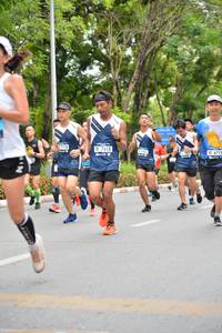 BIB: 7418, 6719
                            <button type="button" onclick="openModal(4597056)" class="btn btn-primary btn-sm float-right btn-popup" data-toggle="modal" data-target=".modal-high-quality">
                        <i class="fas fa-shopping-cart"></i> Add to Cart
                    </button>
                                            <button type="button" onclick="isThisMe(4597056, true)" class="btn btn-success btn-sm float-right btn-popup btn-isme hidden" data-toggle="tooltip" data-placement="bottom" title="นี่คือรูปของคุณใช่ไหม คลิกที่นี่เพื่อเอาเข้าอัลบั้ม">
                        <i class="fas fa-plus"></i> Add to album
                    </button>
                    <button type="button" onclick="isThisMe(4597056, false)" class="btn btn-warning btn-sm float-right btn-popup btn-isnotme hidden">
                        <i class="fas fa-ban"></i> Remove from album
                    </button>