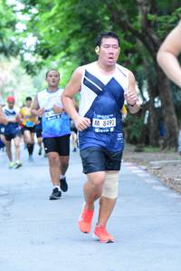 BIB: 8492
                            <button type="button" onclick="openModal(4634650)" class="btn btn-primary btn-sm float-right btn-popup" data-toggle="modal" data-target=".modal-high-quality">
                        <i class="fas fa-shopping-cart"></i> Add to Cart
                    </button>
                                            <button type="button" onclick="isThisMe(4634650, true)" class="btn btn-success btn-sm float-right btn-popup btn-isme hidden" data-toggle="tooltip" data-placement="bottom" title="นี่คือรูปของคุณใช่ไหม คลิกที่นี่เพื่อเอาเข้าอัลบั้ม">
                        <i class="fas fa-plus"></i> Add to album
                    </button>
                    <button type="button" onclick="isThisMe(4634650, false)" class="btn btn-warning btn-sm float-right btn-popup btn-isnotme hidden">
                        <i class="fas fa-ban"></i> Remove from album
                    </button>