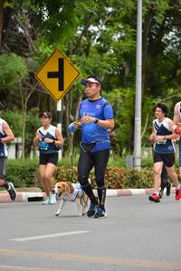 BIB: 
                            <button type="button" onclick="openModal(4601098)" class="btn btn-primary btn-sm float-right btn-popup" data-toggle="modal" data-target=".modal-high-quality">
                        <i class="fas fa-shopping-cart"></i> Add to Cart
                    </button>
                                            <button type="button" onclick="isThisMe(4601098, true)" class="btn btn-success btn-sm float-right btn-popup btn-isme hidden" data-toggle="tooltip" data-placement="bottom" title="นี่คือรูปของคุณใช่ไหม คลิกที่นี่เพื่อเอาเข้าอัลบั้ม">
                        <i class="fas fa-plus"></i> Add to album
                    </button>
                    <button type="button" onclick="isThisMe(4601098, false)" class="btn btn-warning btn-sm float-right btn-popup btn-isnotme hidden">
                        <i class="fas fa-ban"></i> Remove from album
                    </button>