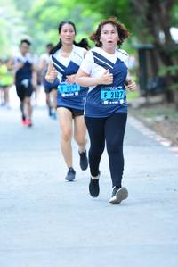 BIB: 2519, 2127
                            <button type="button" onclick="openModal(4639572)" class="btn btn-primary btn-sm float-right btn-popup" data-toggle="modal" data-target=".modal-high-quality">
                        <i class="fas fa-shopping-cart"></i> Add to Cart
                    </button>
                                            <button type="button" onclick="isThisMe(4639572, true)" class="btn btn-success btn-sm float-right btn-popup btn-isme hidden" data-toggle="tooltip" data-placement="bottom" title="นี่คือรูปของคุณใช่ไหม คลิกที่นี่เพื่อเอาเข้าอัลบั้ม">
                        <i class="fas fa-plus"></i> Add to album
                    </button>
                    <button type="button" onclick="isThisMe(4639572, false)" class="btn btn-warning btn-sm float-right btn-popup btn-isnotme hidden">
                        <i class="fas fa-ban"></i> Remove from album
                    </button>