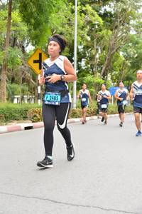 BIB: 2485
                            <button type="button" onclick="openModal(4611282)" class="btn btn-primary btn-sm float-right btn-popup" data-toggle="modal" data-target=".modal-high-quality">
                        <i class="fas fa-shopping-cart"></i> Add to Cart
                    </button>
                                            <button type="button" onclick="isThisMe(4611282, true)" class="btn btn-success btn-sm float-right btn-popup btn-isme hidden" data-toggle="tooltip" data-placement="bottom" title="นี่คือรูปของคุณใช่ไหม คลิกที่นี่เพื่อเอาเข้าอัลบั้ม">
                        <i class="fas fa-plus"></i> Add to album
                    </button>
                    <button type="button" onclick="isThisMe(4611282, false)" class="btn btn-warning btn-sm float-right btn-popup btn-isnotme hidden">
                        <i class="fas fa-ban"></i> Remove from album
                    </button>