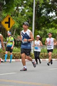 BIB: 
                            <button type="button" onclick="openModal(4602446)" class="btn btn-primary btn-sm float-right btn-popup" data-toggle="modal" data-target=".modal-high-quality">
                        <i class="fas fa-shopping-cart"></i> Add to Cart
                    </button>
                                            <button type="button" onclick="isThisMe(4602446, true)" class="btn btn-success btn-sm float-right btn-popup btn-isme hidden" data-toggle="tooltip" data-placement="bottom" title="นี่คือรูปของคุณใช่ไหม คลิกที่นี่เพื่อเอาเข้าอัลบั้ม">
                        <i class="fas fa-plus"></i> Add to album
                    </button>
                    <button type="button" onclick="isThisMe(4602446, false)" class="btn btn-warning btn-sm float-right btn-popup btn-isnotme hidden">
                        <i class="fas fa-ban"></i> Remove from album
                    </button>