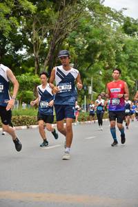 BIB: 7237, 7937, 17508
                            <button type="button" onclick="openModal(4597992)" class="btn btn-primary btn-sm float-right btn-popup" data-toggle="modal" data-target=".modal-high-quality">
                        <i class="fas fa-shopping-cart"></i> Add to Cart
                    </button>
                                            <button type="button" onclick="isThisMe(4597992, true)" class="btn btn-success btn-sm float-right btn-popup btn-isme hidden" data-toggle="tooltip" data-placement="bottom" title="นี่คือรูปของคุณใช่ไหม คลิกที่นี่เพื่อเอาเข้าอัลบั้ม">
                        <i class="fas fa-plus"></i> Add to album
                    </button>
                    <button type="button" onclick="isThisMe(4597992, false)" class="btn btn-warning btn-sm float-right btn-popup btn-isnotme hidden">
                        <i class="fas fa-ban"></i> Remove from album
                    </button>