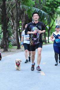 BIB: 144
                            <button type="button" onclick="openModal(4637146)" class="btn btn-primary btn-sm float-right btn-popup" data-toggle="modal" data-target=".modal-high-quality">
                        <i class="fas fa-shopping-cart"></i> Add to Cart
                    </button>
                                            <button type="button" onclick="isThisMe(4637146, true)" class="btn btn-success btn-sm float-right btn-popup btn-isme hidden" data-toggle="tooltip" data-placement="bottom" title="นี่คือรูปของคุณใช่ไหม คลิกที่นี่เพื่อเอาเข้าอัลบั้ม">
                        <i class="fas fa-plus"></i> Add to album
                    </button>
                    <button type="button" onclick="isThisMe(4637146, false)" class="btn btn-warning btn-sm float-right btn-popup btn-isnotme hidden">
                        <i class="fas fa-ban"></i> Remove from album
                    </button>