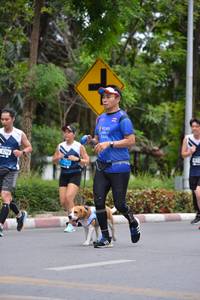 BIB: 82961
                            <button type="button" onclick="openModal(4601097)" class="btn btn-primary btn-sm float-right btn-popup" data-toggle="modal" data-target=".modal-high-quality">
                        <i class="fas fa-shopping-cart"></i> Add to Cart
                    </button>
                                            <button type="button" onclick="isThisMe(4601097, true)" class="btn btn-success btn-sm float-right btn-popup btn-isme hidden" data-toggle="tooltip" data-placement="bottom" title="นี่คือรูปของคุณใช่ไหม คลิกที่นี่เพื่อเอาเข้าอัลบั้ม">
                        <i class="fas fa-plus"></i> Add to album
                    </button>
                    <button type="button" onclick="isThisMe(4601097, false)" class="btn btn-warning btn-sm float-right btn-popup btn-isnotme hidden">
                        <i class="fas fa-ban"></i> Remove from album
                    </button>