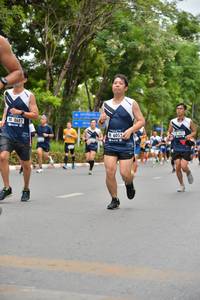 BIB: 8682, 6052
                            <button type="button" onclick="openModal(4598357)" class="btn btn-primary btn-sm float-right btn-popup" data-toggle="modal" data-target=".modal-high-quality">
                        <i class="fas fa-shopping-cart"></i> Add to Cart
                    </button>
                                            <button type="button" onclick="isThisMe(4598357, true)" class="btn btn-success btn-sm float-right btn-popup btn-isme hidden" data-toggle="tooltip" data-placement="bottom" title="นี่คือรูปของคุณใช่ไหม คลิกที่นี่เพื่อเอาเข้าอัลบั้ม">
                        <i class="fas fa-plus"></i> Add to album
                    </button>
                    <button type="button" onclick="isThisMe(4598357, false)" class="btn btn-warning btn-sm float-right btn-popup btn-isnotme hidden">
                        <i class="fas fa-ban"></i> Remove from album
                    </button>