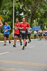 BIB: 6785, 6538
                            <button type="button" onclick="openModal(4598215)" class="btn btn-primary btn-sm float-right btn-popup" data-toggle="modal" data-target=".modal-high-quality">
                        <i class="fas fa-shopping-cart"></i> Add to Cart
                    </button>
                                            <button type="button" onclick="isThisMe(4598215, true)" class="btn btn-success btn-sm float-right btn-popup btn-isme hidden" data-toggle="tooltip" data-placement="bottom" title="นี่คือรูปของคุณใช่ไหม คลิกที่นี่เพื่อเอาเข้าอัลบั้ม">
                        <i class="fas fa-plus"></i> Add to album
                    </button>
                    <button type="button" onclick="isThisMe(4598215, false)" class="btn btn-warning btn-sm float-right btn-popup btn-isnotme hidden">
                        <i class="fas fa-ban"></i> Remove from album
                    </button>