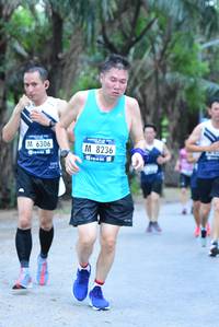 BIB: 6306, 8236
                            <button type="button" onclick="openModal(4664819)" class="btn btn-primary btn-sm float-right btn-popup" data-toggle="modal" data-target=".modal-high-quality">
                        <i class="fas fa-shopping-cart"></i> Add to Cart
                    </button>
                                            <button type="button" onclick="isThisMe(4664819, true)" class="btn btn-success btn-sm float-right btn-popup btn-isme hidden" data-toggle="tooltip" data-placement="bottom" title="นี่คือรูปของคุณใช่ไหม คลิกที่นี่เพื่อเอาเข้าอัลบั้ม">
                        <i class="fas fa-plus"></i> Add to album
                    </button>
                    <button type="button" onclick="isThisMe(4664819, false)" class="btn btn-warning btn-sm float-right btn-popup btn-isnotme hidden">
                        <i class="fas fa-ban"></i> Remove from album
                    </button>