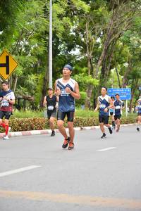 BIB: 
                            <button type="button" onclick="openModal(4597150)" class="btn btn-primary btn-sm float-right btn-popup" data-toggle="modal" data-target=".modal-high-quality">
                        <i class="fas fa-shopping-cart"></i> Add to Cart
                    </button>
                                            <button type="button" onclick="isThisMe(4597150, true)" class="btn btn-success btn-sm float-right btn-popup btn-isme hidden" data-toggle="tooltip" data-placement="bottom" title="นี่คือรูปของคุณใช่ไหม คลิกที่นี่เพื่อเอาเข้าอัลบั้ม">
                        <i class="fas fa-plus"></i> Add to album
                    </button>
                    <button type="button" onclick="isThisMe(4597150, false)" class="btn btn-warning btn-sm float-right btn-popup btn-isnotme hidden">
                        <i class="fas fa-ban"></i> Remove from album
                    </button>