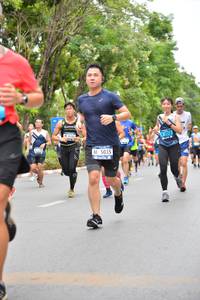 BIB: 101, 5035, 
                            <button type="button" onclick="openModal(4596997)" class="btn btn-primary btn-sm float-right btn-popup" data-toggle="modal" data-target=".modal-high-quality">
                        <i class="fas fa-shopping-cart"></i> Add to Cart
                    </button>
                                            <button type="button" onclick="isThisMe(4596997, true)" class="btn btn-success btn-sm float-right btn-popup btn-isme hidden" data-toggle="tooltip" data-placement="bottom" title="นี่คือรูปของคุณใช่ไหม คลิกที่นี่เพื่อเอาเข้าอัลบั้ม">
                        <i class="fas fa-plus"></i> Add to album
                    </button>
                    <button type="button" onclick="isThisMe(4596997, false)" class="btn btn-warning btn-sm float-right btn-popup btn-isnotme hidden">
                        <i class="fas fa-ban"></i> Remove from album
                    </button>