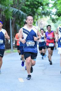 BIB: 914, 7958
                            <button type="button" onclick="openModal(4664939)" class="btn btn-primary btn-sm float-right btn-popup" data-toggle="modal" data-target=".modal-high-quality">
                        <i class="fas fa-shopping-cart"></i> Add to Cart
                    </button>
                                            <button type="button" onclick="isThisMe(4664939, true)" class="btn btn-success btn-sm float-right btn-popup btn-isme hidden" data-toggle="tooltip" data-placement="bottom" title="นี่คือรูปของคุณใช่ไหม คลิกที่นี่เพื่อเอาเข้าอัลบั้ม">
                        <i class="fas fa-plus"></i> Add to album
                    </button>
                    <button type="button" onclick="isThisMe(4664939, false)" class="btn btn-warning btn-sm float-right btn-popup btn-isnotme hidden">
                        <i class="fas fa-ban"></i> Remove from album
                    </button>