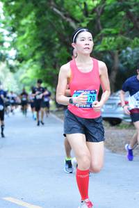 BIB: 
                            <button type="button" onclick="openModal(4663048)" class="btn btn-primary btn-sm float-right btn-popup" data-toggle="modal" data-target=".modal-high-quality">
                        <i class="fas fa-shopping-cart"></i> Add to Cart
                    </button>
                                            <button type="button" onclick="isThisMe(4663048, true)" class="btn btn-success btn-sm float-right btn-popup btn-isme hidden" data-toggle="tooltip" data-placement="bottom" title="นี่คือรูปของคุณใช่ไหม คลิกที่นี่เพื่อเอาเข้าอัลบั้ม">
                        <i class="fas fa-plus"></i> Add to album
                    </button>
                    <button type="button" onclick="isThisMe(4663048, false)" class="btn btn-warning btn-sm float-right btn-popup btn-isnotme hidden">
                        <i class="fas fa-ban"></i> Remove from album
                    </button>