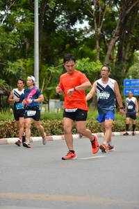 BIB: 6737
                            <button type="button" onclick="openModal(4599588)" class="btn btn-primary btn-sm float-right btn-popup" data-toggle="modal" data-target=".modal-high-quality">
                        <i class="fas fa-shopping-cart"></i> Add to Cart
                    </button>
                                            <button type="button" onclick="isThisMe(4599588, true)" class="btn btn-success btn-sm float-right btn-popup btn-isme hidden" data-toggle="tooltip" data-placement="bottom" title="นี่คือรูปของคุณใช่ไหม คลิกที่นี่เพื่อเอาเข้าอัลบั้ม">
                        <i class="fas fa-plus"></i> Add to album
                    </button>
                    <button type="button" onclick="isThisMe(4599588, false)" class="btn btn-warning btn-sm float-right btn-popup btn-isnotme hidden">
                        <i class="fas fa-ban"></i> Remove from album
                    </button>