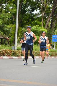 BIB: 7303, 7595
                            <button type="button" onclick="openModal(4604288)" class="btn btn-primary btn-sm float-right btn-popup" data-toggle="modal" data-target=".modal-high-quality">
                        <i class="fas fa-shopping-cart"></i> Add to Cart
                    </button>
                                            <button type="button" onclick="isThisMe(4604288, true)" class="btn btn-success btn-sm float-right btn-popup btn-isme hidden" data-toggle="tooltip" data-placement="bottom" title="นี่คือรูปของคุณใช่ไหม คลิกที่นี่เพื่อเอาเข้าอัลบั้ม">
                        <i class="fas fa-plus"></i> Add to album
                    </button>
                    <button type="button" onclick="isThisMe(4604288, false)" class="btn btn-warning btn-sm float-right btn-popup btn-isnotme hidden">
                        <i class="fas fa-ban"></i> Remove from album
                    </button>