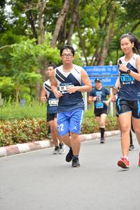 BIB: 2073
                            <button type="button" onclick="openModal(4610965)" class="btn btn-primary btn-sm float-right btn-popup" data-toggle="modal" data-target=".modal-high-quality">
                        <i class="fas fa-shopping-cart"></i> Add to Cart
                    </button>
                                            <button type="button" onclick="isThisMe(4610965, true)" class="btn btn-success btn-sm float-right btn-popup btn-isme hidden" data-toggle="tooltip" data-placement="bottom" title="นี่คือรูปของคุณใช่ไหม คลิกที่นี่เพื่อเอาเข้าอัลบั้ม">
                        <i class="fas fa-plus"></i> Add to album
                    </button>
                    <button type="button" onclick="isThisMe(4610965, false)" class="btn btn-warning btn-sm float-right btn-popup btn-isnotme hidden">
                        <i class="fas fa-ban"></i> Remove from album
                    </button>