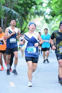 BIB: 7280, 144
                            <button type="button" onclick="openModal(4634902)" class="btn btn-primary btn-sm float-right btn-popup" data-toggle="modal" data-target=".modal-high-quality">
                        <i class="fas fa-shopping-cart"></i> Add to Cart
                    </button>
                                            <button type="button" onclick="isThisMe(4634902, true)" class="btn btn-success btn-sm float-right btn-popup btn-isme hidden" data-toggle="tooltip" data-placement="bottom" title="นี่คือรูปของคุณใช่ไหม คลิกที่นี่เพื่อเอาเข้าอัลบั้ม">
                        <i class="fas fa-plus"></i> Add to album
                    </button>
                    <button type="button" onclick="isThisMe(4634902, false)" class="btn btn-warning btn-sm float-right btn-popup btn-isnotme hidden">
                        <i class="fas fa-ban"></i> Remove from album
                    </button>