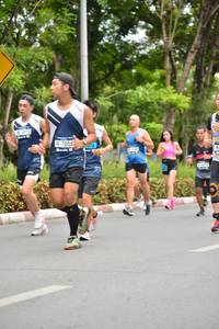 BIB: 5473
                            <button type="button" onclick="openModal(4596589)" class="btn btn-primary btn-sm float-right btn-popup" data-toggle="modal" data-target=".modal-high-quality">
                        <i class="fas fa-shopping-cart"></i> Add to Cart
                    </button>
                                            <button type="button" onclick="isThisMe(4596589, true)" class="btn btn-success btn-sm float-right btn-popup btn-isme hidden" data-toggle="tooltip" data-placement="bottom" title="นี่คือรูปของคุณใช่ไหม คลิกที่นี่เพื่อเอาเข้าอัลบั้ม">
                        <i class="fas fa-plus"></i> Add to album
                    </button>
                    <button type="button" onclick="isThisMe(4596589, false)" class="btn btn-warning btn-sm float-right btn-popup btn-isnotme hidden">
                        <i class="fas fa-ban"></i> Remove from album
                    </button>