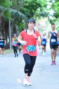 BIB: 2080
                            <button type="button" onclick="openModal(4635231)" class="btn btn-primary btn-sm float-right btn-popup" data-toggle="modal" data-target=".modal-high-quality">
                        <i class="fas fa-shopping-cart"></i> Add to Cart
                    </button>
                                            <button type="button" onclick="isThisMe(4635231, true)" class="btn btn-success btn-sm float-right btn-popup btn-isme hidden" data-toggle="tooltip" data-placement="bottom" title="นี่คือรูปของคุณใช่ไหม คลิกที่นี่เพื่อเอาเข้าอัลบั้ม">
                        <i class="fas fa-plus"></i> Add to album
                    </button>
                    <button type="button" onclick="isThisMe(4635231, false)" class="btn btn-warning btn-sm float-right btn-popup btn-isnotme hidden">
                        <i class="fas fa-ban"></i> Remove from album
                    </button>