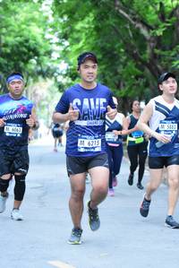 BIB: 5883, 6063, 6215
                            <button type="button" onclick="openModal(4637549)" class="btn btn-primary btn-sm float-right btn-popup" data-toggle="modal" data-target=".modal-high-quality">
                        <i class="fas fa-shopping-cart"></i> Add to Cart
                    </button>
                                            <button type="button" onclick="isThisMe(4637549, true)" class="btn btn-success btn-sm float-right btn-popup btn-isme hidden" data-toggle="tooltip" data-placement="bottom" title="นี่คือรูปของคุณใช่ไหม คลิกที่นี่เพื่อเอาเข้าอัลบั้ม">
                        <i class="fas fa-plus"></i> Add to album
                    </button>
                    <button type="button" onclick="isThisMe(4637549, false)" class="btn btn-warning btn-sm float-right btn-popup btn-isnotme hidden">
                        <i class="fas fa-ban"></i> Remove from album
                    </button>