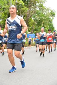 BIB: 6779, 1716
                            <button type="button" onclick="openModal(4611285)" class="btn btn-primary btn-sm float-right btn-popup" data-toggle="modal" data-target=".modal-high-quality">
                        <i class="fas fa-shopping-cart"></i> Add to Cart
                    </button>
                                            <button type="button" onclick="isThisMe(4611285, true)" class="btn btn-success btn-sm float-right btn-popup btn-isme hidden" data-toggle="tooltip" data-placement="bottom" title="นี่คือรูปของคุณใช่ไหม คลิกที่นี่เพื่อเอาเข้าอัลบั้ม">
                        <i class="fas fa-plus"></i> Add to album
                    </button>
                    <button type="button" onclick="isThisMe(4611285, false)" class="btn btn-warning btn-sm float-right btn-popup btn-isnotme hidden">
                        <i class="fas fa-ban"></i> Remove from album
                    </button>