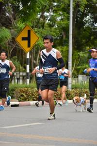 BIB: 8425
                            <button type="button" onclick="openModal(4601090)" class="btn btn-primary btn-sm float-right btn-popup" data-toggle="modal" data-target=".modal-high-quality">
                        <i class="fas fa-shopping-cart"></i> Add to Cart
                    </button>
                                            <button type="button" onclick="isThisMe(4601090, true)" class="btn btn-success btn-sm float-right btn-popup btn-isme hidden" data-toggle="tooltip" data-placement="bottom" title="นี่คือรูปของคุณใช่ไหม คลิกที่นี่เพื่อเอาเข้าอัลบั้ม">
                        <i class="fas fa-plus"></i> Add to album
                    </button>
                    <button type="button" onclick="isThisMe(4601090, false)" class="btn btn-warning btn-sm float-right btn-popup btn-isnotme hidden">
                        <i class="fas fa-ban"></i> Remove from album
                    </button>