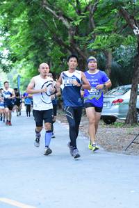 BIB: 6531
                            <button type="button" onclick="openModal(4663703)" class="btn btn-primary btn-sm float-right btn-popup" data-toggle="modal" data-target=".modal-high-quality">
                        <i class="fas fa-shopping-cart"></i> Add to Cart
                    </button>
                                            <button type="button" onclick="isThisMe(4663703, true)" class="btn btn-success btn-sm float-right btn-popup btn-isme hidden" data-toggle="tooltip" data-placement="bottom" title="นี่คือรูปของคุณใช่ไหม คลิกที่นี่เพื่อเอาเข้าอัลบั้ม">
                        <i class="fas fa-plus"></i> Add to album
                    </button>
                    <button type="button" onclick="isThisMe(4663703, false)" class="btn btn-warning btn-sm float-right btn-popup btn-isnotme hidden">
                        <i class="fas fa-ban"></i> Remove from album
                    </button>