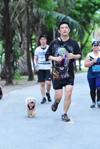 BIB: 
                            <button type="button" onclick="openModal(4637148)" class="btn btn-primary btn-sm float-right btn-popup" data-toggle="modal" data-target=".modal-high-quality">
                        <i class="fas fa-shopping-cart"></i> Add to Cart
                    </button>
                                            <button type="button" onclick="isThisMe(4637148, true)" class="btn btn-success btn-sm float-right btn-popup btn-isme hidden" data-toggle="tooltip" data-placement="bottom" title="นี่คือรูปของคุณใช่ไหม คลิกที่นี่เพื่อเอาเข้าอัลบั้ม">
                        <i class="fas fa-plus"></i> Add to album
                    </button>
                    <button type="button" onclick="isThisMe(4637148, false)" class="btn btn-warning btn-sm float-right btn-popup btn-isnotme hidden">
                        <i class="fas fa-ban"></i> Remove from album
                    </button>