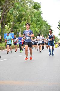 BIB: 5503
                            <button type="button" onclick="openModal(4597084)" class="btn btn-primary btn-sm float-right btn-popup" data-toggle="modal" data-target=".modal-high-quality">
                        <i class="fas fa-shopping-cart"></i> Add to Cart
                    </button>
                                            <button type="button" onclick="isThisMe(4597084, true)" class="btn btn-success btn-sm float-right btn-popup btn-isme hidden" data-toggle="tooltip" data-placement="bottom" title="นี่คือรูปของคุณใช่ไหม คลิกที่นี่เพื่อเอาเข้าอัลบั้ม">
                        <i class="fas fa-plus"></i> Add to album
                    </button>
                    <button type="button" onclick="isThisMe(4597084, false)" class="btn btn-warning btn-sm float-right btn-popup btn-isnotme hidden">
                        <i class="fas fa-ban"></i> Remove from album
                    </button>