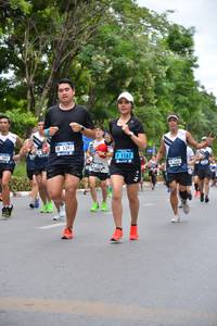 BIB: 5397, 5897, 1167, 5660
                            <button type="button" onclick="openModal(4598103)" class="btn btn-primary btn-sm float-right btn-popup" data-toggle="modal" data-target=".modal-high-quality">
                        <i class="fas fa-shopping-cart"></i> Add to Cart
                    </button>
                                            <button type="button" onclick="isThisMe(4598103, true)" class="btn btn-success btn-sm float-right btn-popup btn-isme hidden" data-toggle="tooltip" data-placement="bottom" title="นี่คือรูปของคุณใช่ไหม คลิกที่นี่เพื่อเอาเข้าอัลบั้ม">
                        <i class="fas fa-plus"></i> Add to album
                    </button>
                    <button type="button" onclick="isThisMe(4598103, false)" class="btn btn-warning btn-sm float-right btn-popup btn-isnotme hidden">
                        <i class="fas fa-ban"></i> Remove from album
                    </button>