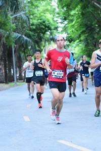 BIB: 6969, 500
                            <button type="button" onclick="openModal(4663003)" class="btn btn-primary btn-sm float-right btn-popup" data-toggle="modal" data-target=".modal-high-quality">
                        <i class="fas fa-shopping-cart"></i> Add to Cart
                    </button>
                                            <button type="button" onclick="isThisMe(4663003, true)" class="btn btn-success btn-sm float-right btn-popup btn-isme hidden" data-toggle="tooltip" data-placement="bottom" title="นี่คือรูปของคุณใช่ไหม คลิกที่นี่เพื่อเอาเข้าอัลบั้ม">
                        <i class="fas fa-plus"></i> Add to album
                    </button>
                    <button type="button" onclick="isThisMe(4663003, false)" class="btn btn-warning btn-sm float-right btn-popup btn-isnotme hidden">
                        <i class="fas fa-ban"></i> Remove from album
                    </button>