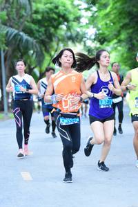 BIB: 2493, 1320
                            <button type="button" onclick="openModal(4665211)" class="btn btn-primary btn-sm float-right btn-popup" data-toggle="modal" data-target=".modal-high-quality">
                        <i class="fas fa-shopping-cart"></i> Add to Cart
                    </button>
                                            <button type="button" onclick="isThisMe(4665211, true)" class="btn btn-success btn-sm float-right btn-popup btn-isme hidden" data-toggle="tooltip" data-placement="bottom" title="นี่คือรูปของคุณใช่ไหม คลิกที่นี่เพื่อเอาเข้าอัลบั้ม">
                        <i class="fas fa-plus"></i> Add to album
                    </button>
                    <button type="button" onclick="isThisMe(4665211, false)" class="btn btn-warning btn-sm float-right btn-popup btn-isnotme hidden">
                        <i class="fas fa-ban"></i> Remove from album
                    </button>