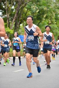 BIB: 6016, 7274
                            <button type="button" onclick="openModal(4596678)" class="btn btn-primary btn-sm float-right btn-popup" data-toggle="modal" data-target=".modal-high-quality">
                        <i class="fas fa-shopping-cart"></i> Add to Cart
                    </button>
                                            <button type="button" onclick="isThisMe(4596678, true)" class="btn btn-success btn-sm float-right btn-popup btn-isme hidden" data-toggle="tooltip" data-placement="bottom" title="นี่คือรูปของคุณใช่ไหม คลิกที่นี่เพื่อเอาเข้าอัลบั้ม">
                        <i class="fas fa-plus"></i> Add to album
                    </button>
                    <button type="button" onclick="isThisMe(4596678, false)" class="btn btn-warning btn-sm float-right btn-popup btn-isnotme hidden">
                        <i class="fas fa-ban"></i> Remove from album
                    </button>