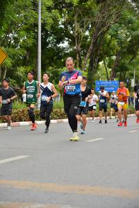 BIB: 8267
                            <button type="button" onclick="openModal(4598141)" class="btn btn-primary btn-sm float-right btn-popup" data-toggle="modal" data-target=".modal-high-quality">
                        <i class="fas fa-shopping-cart"></i> Add to Cart
                    </button>
                                            <button type="button" onclick="isThisMe(4598141, true)" class="btn btn-success btn-sm float-right btn-popup btn-isme hidden" data-toggle="tooltip" data-placement="bottom" title="นี่คือรูปของคุณใช่ไหม คลิกที่นี่เพื่อเอาเข้าอัลบั้ม">
                        <i class="fas fa-plus"></i> Add to album
                    </button>
                    <button type="button" onclick="isThisMe(4598141, false)" class="btn btn-warning btn-sm float-right btn-popup btn-isnotme hidden">
                        <i class="fas fa-ban"></i> Remove from album
                    </button>