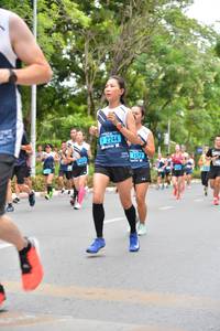 BIB: 2244, 1572
                            <button type="button" onclick="openModal(4596830)" class="btn btn-primary btn-sm float-right btn-popup" data-toggle="modal" data-target=".modal-high-quality">
                        <i class="fas fa-shopping-cart"></i> Add to Cart
                    </button>
                                            <button type="button" onclick="isThisMe(4596830, true)" class="btn btn-success btn-sm float-right btn-popup btn-isme hidden" data-toggle="tooltip" data-placement="bottom" title="นี่คือรูปของคุณใช่ไหม คลิกที่นี่เพื่อเอาเข้าอัลบั้ม">
                        <i class="fas fa-plus"></i> Add to album
                    </button>
                    <button type="button" onclick="isThisMe(4596830, false)" class="btn btn-warning btn-sm float-right btn-popup btn-isnotme hidden">
                        <i class="fas fa-ban"></i> Remove from album
                    </button>